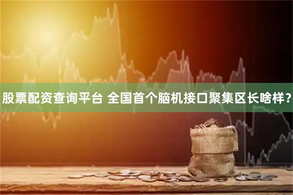 股票配资查询平台 全国首个脑机接口聚集区长啥样？